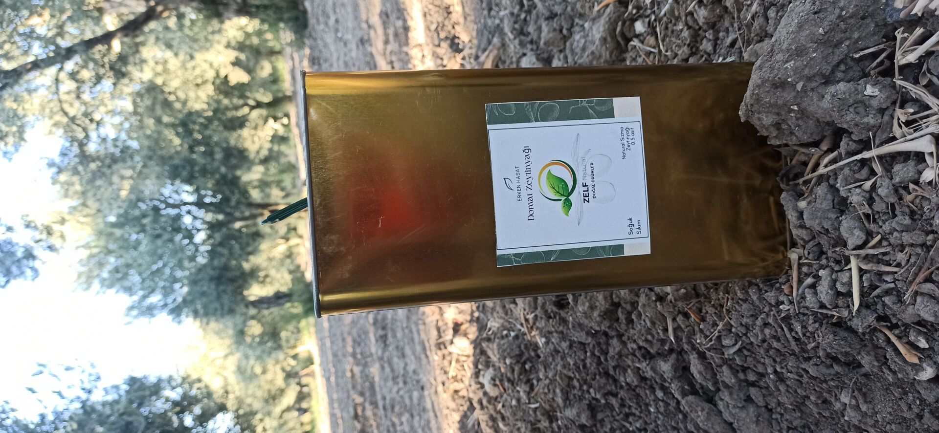 5 LT Natural Sızma Erken Hasat Domat Zeytinyağı