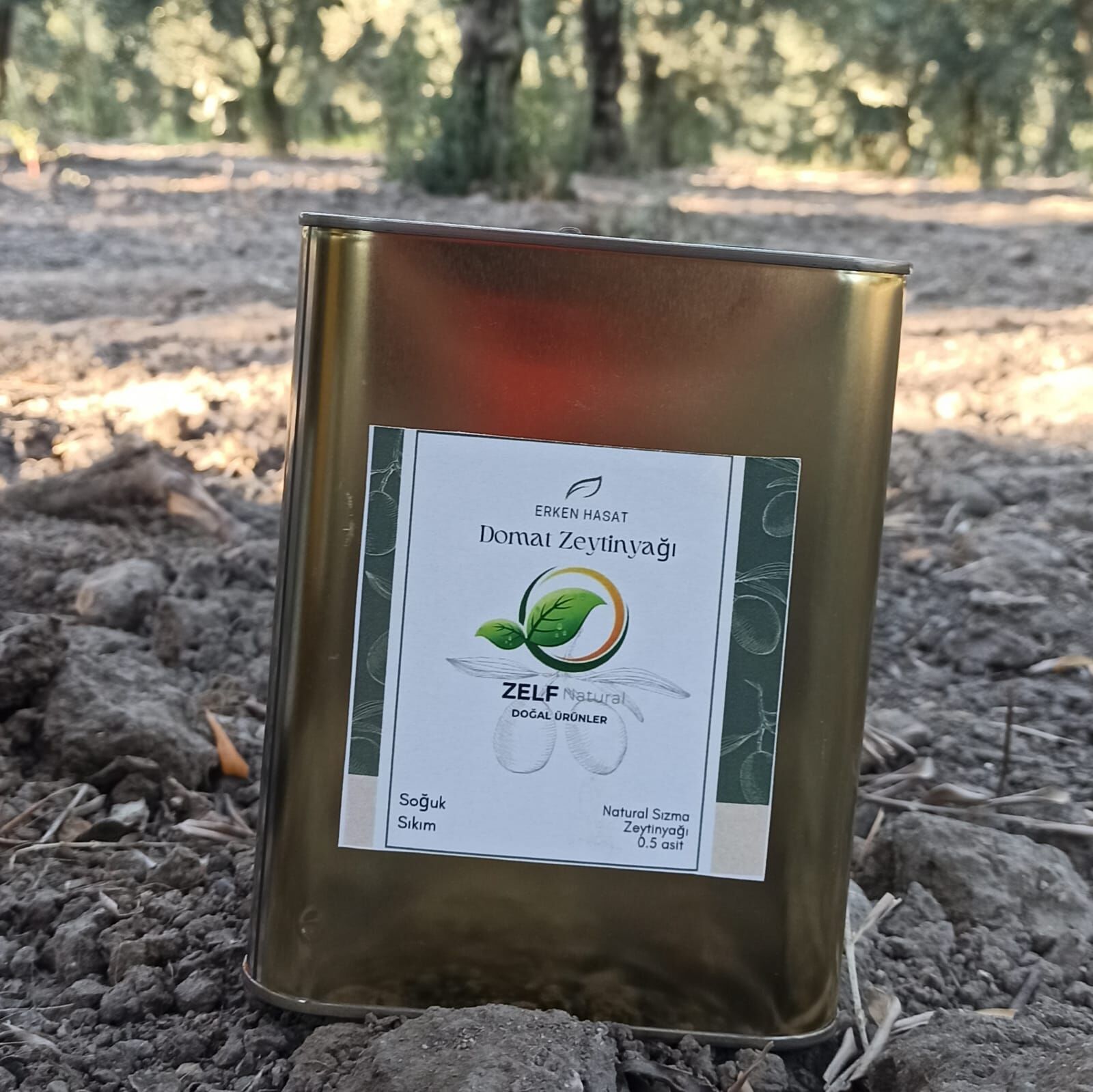 2 LT Domat Erken Hasat Soğuk Sıkım Natürel Sızma Zeytinyağı | ZELFnatural