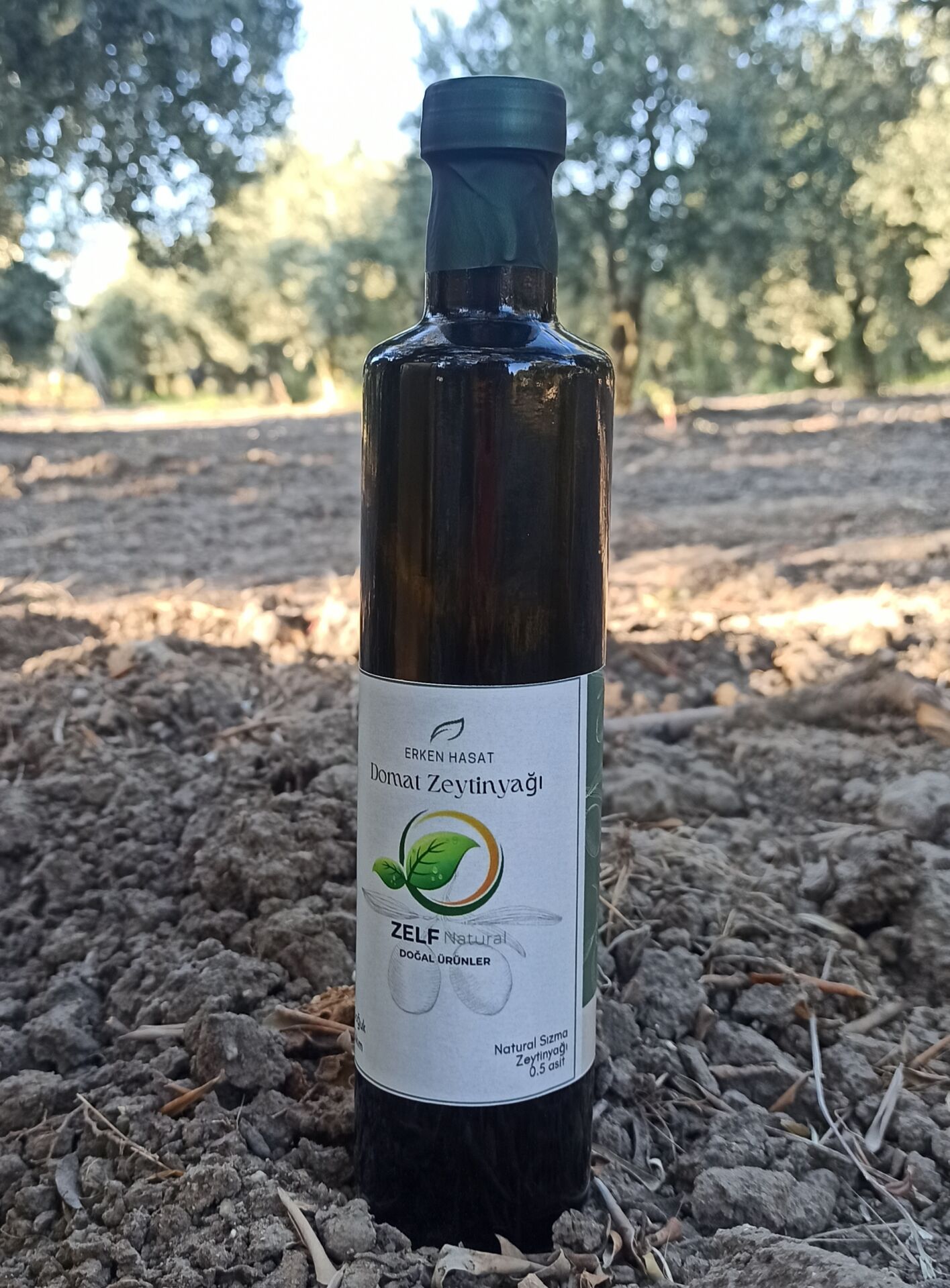 500 Ml Domat Erken Hasat Soğuk Sıkım Natürel Sızma Zeytinyağı | ZELFnatural