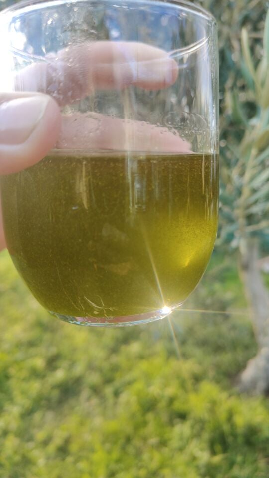 5 LT Natural Sızma Erken Hasat Domat Zeytinyağı