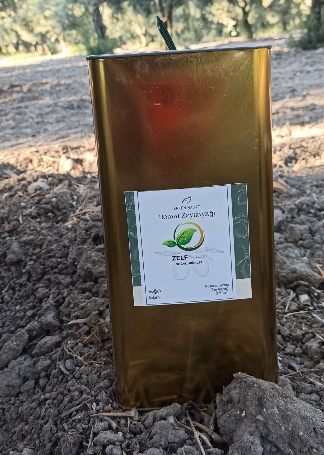 5 Lt Domat Erken Hasat Soğuk Sıkım Natürel Sızma Zeytinyağı | ZELFnatural