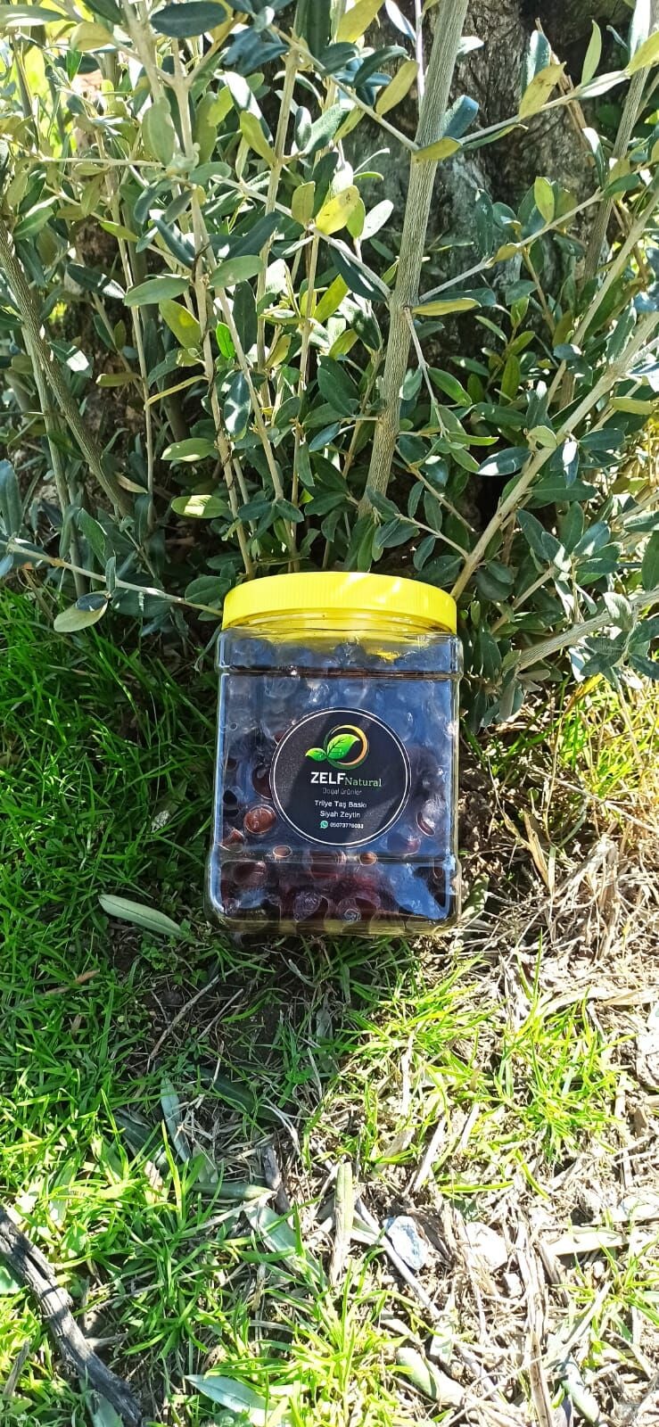 Doğal Fermente Taş Baskı Gemlik tip İri Boy ZELFnatural Siyah Zeytin