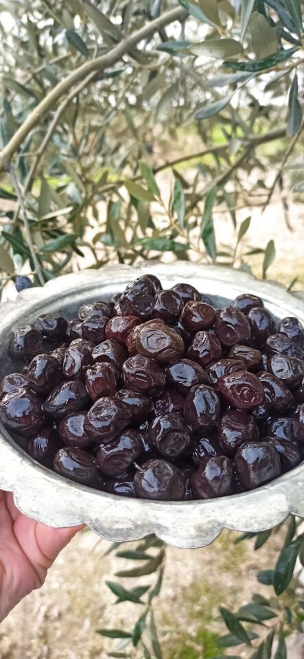 Doğal Fermente Taş Baskı Gemlik tip İri Boy ZELFnatural Siyah Zeytin