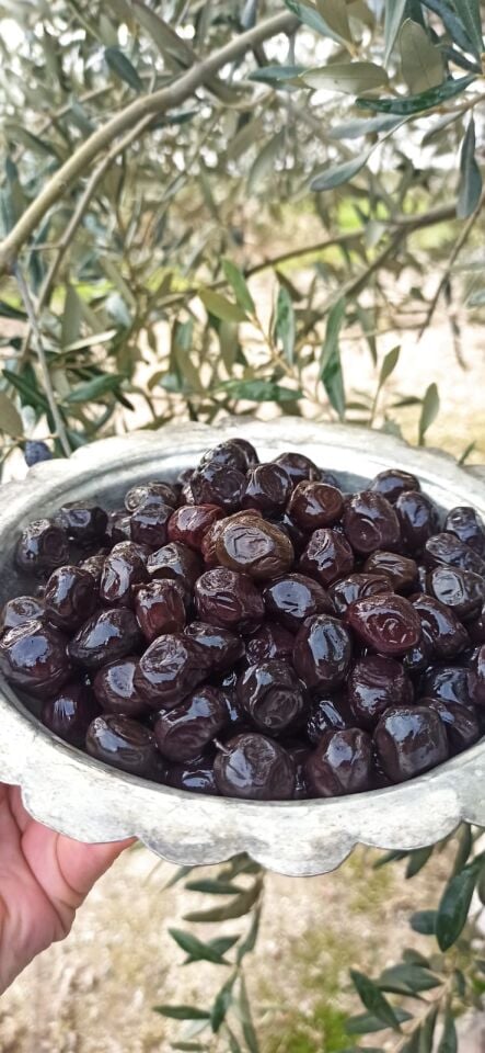 Doğal Fermente Taş Baskı Gemlik tip İri Boy ZELFnatural Siyah Zeytin