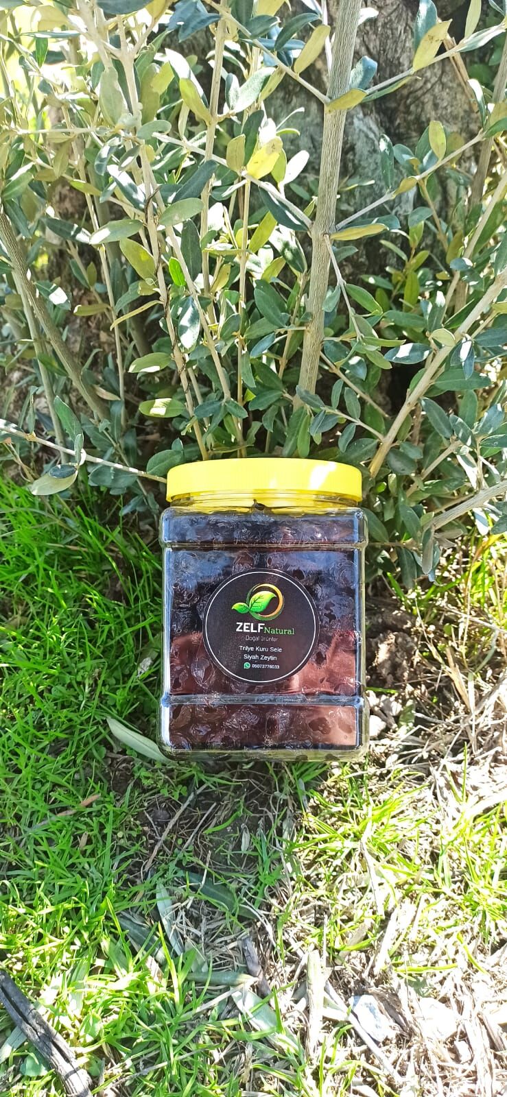 Az Tuzlu Trilye Kuru Sele Zeytin İri Boy 1 KG