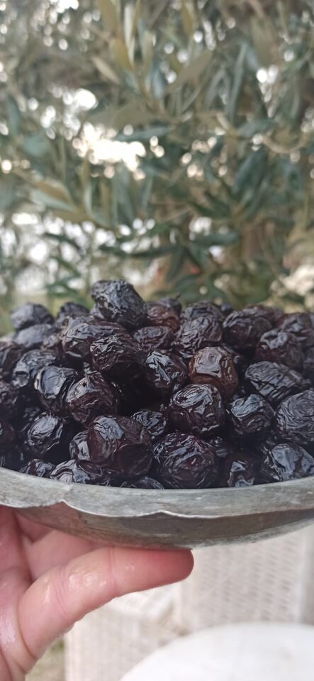 Az Tuzlu Trilye Kuru Sele Zeytin İri Boy 1 KG