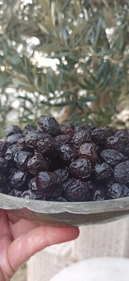 Az Tuzlu Trilye Kuru Sele Zeytin İri Boy 1 KG