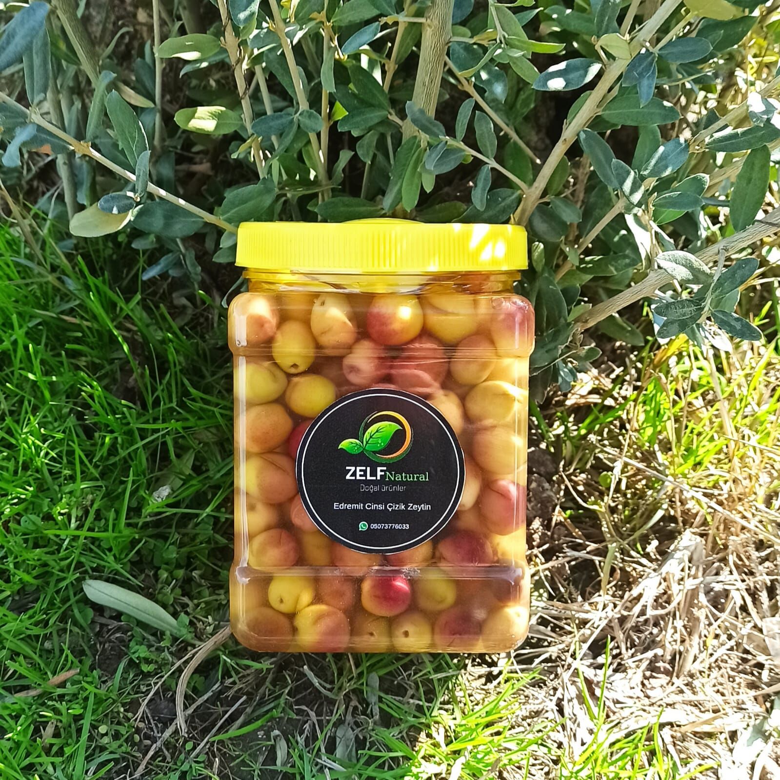 Edremit Çizik Zeytin