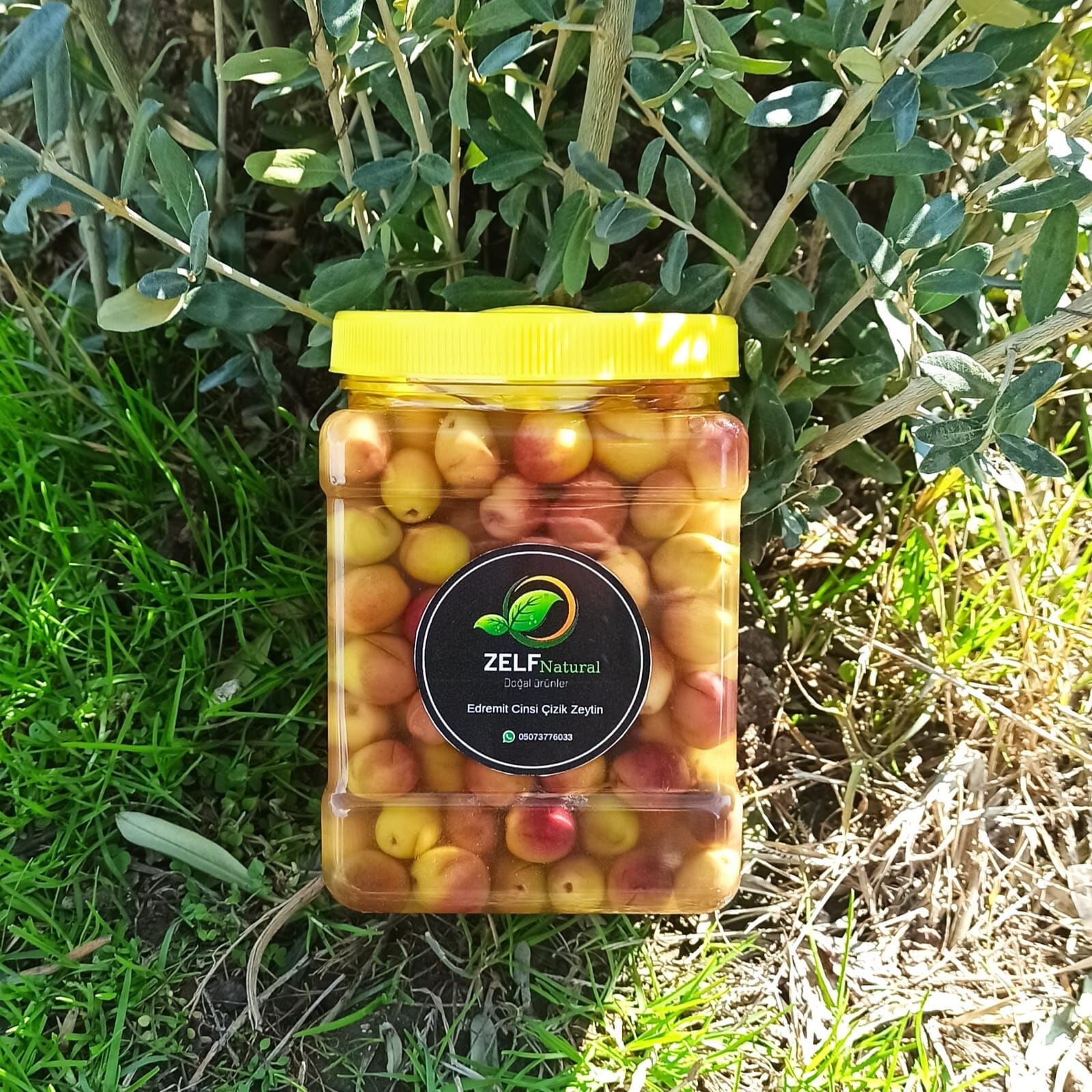 Edremit Çizik Zeytin
