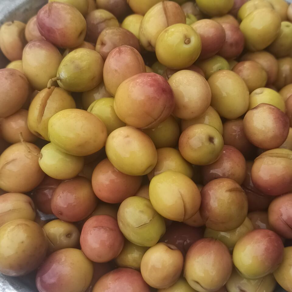 Edremit Çizik Zeytin