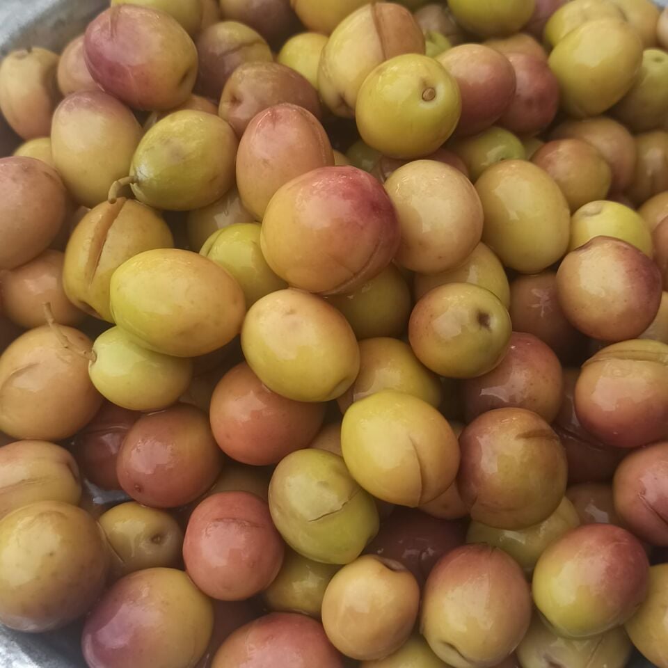 Edremit Çizik Zeytin