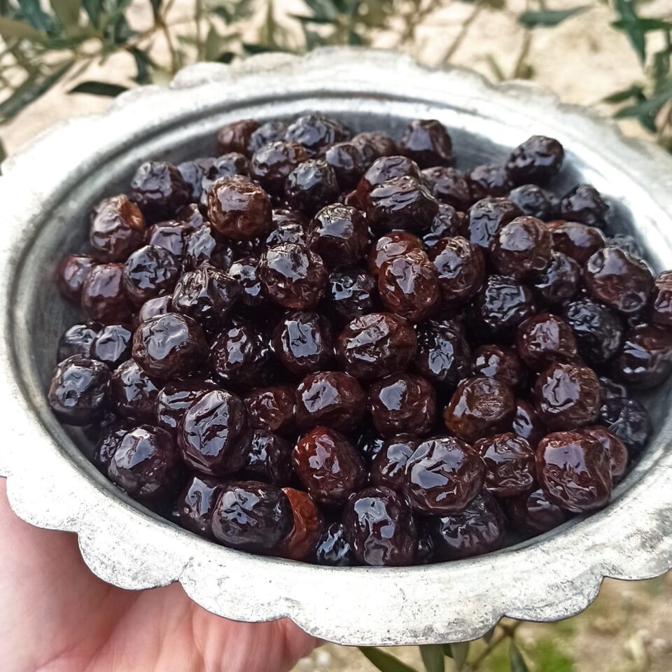 Edremit Siyah Sele Zeytini