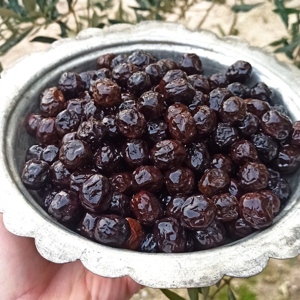 Edremit Siyah Sele Zeytini